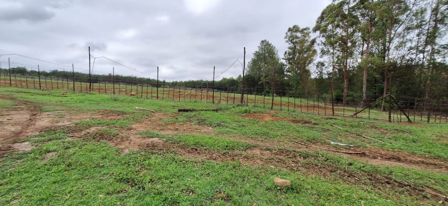 7 Bedroom Property for Sale in Swartruggens North West